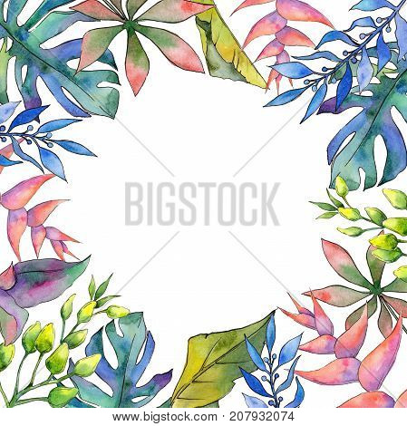 Tropical Hawaii leaves frame in a watercolor style. Aquarelle wild flower for background, texture, wrapper pattern, frame or border.