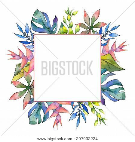 Tropical Hawaii leaves frame in a watercolor style. Aquarelle wild flower for background, texture, wrapper pattern, frame or border.