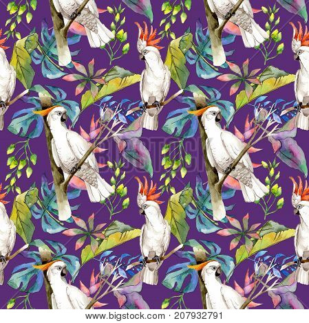 Tropical Hawaii leaves pattern in a watercolor style. Aquarelle wild flower for background, texture, wrapper pattern, frame or border.