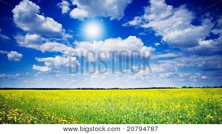 Levende Rapefield og Cloudscape.