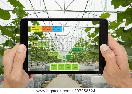 Smart agriculture concept Agronomist or farmer use Artificial intelligence and augmented reality in farm to help grow systems saving water resources reduce labor time make high yield and predict