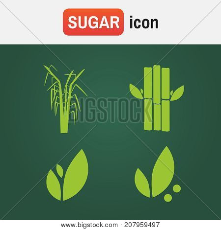 Cane Sugar Sugarcane. Sugar Cane Flat Icons Set Illustration Vector