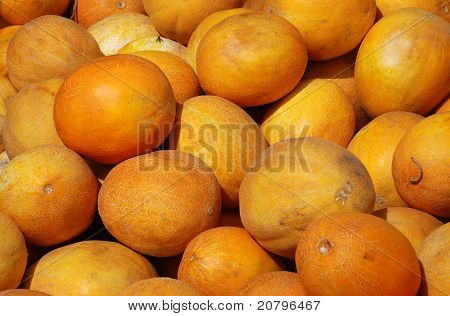 Meloni