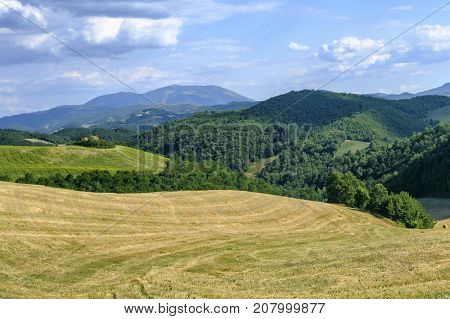Summer landscape along the road from Lunano to Urbania (Montefeltro Pesaro Urbino Marches Italy)