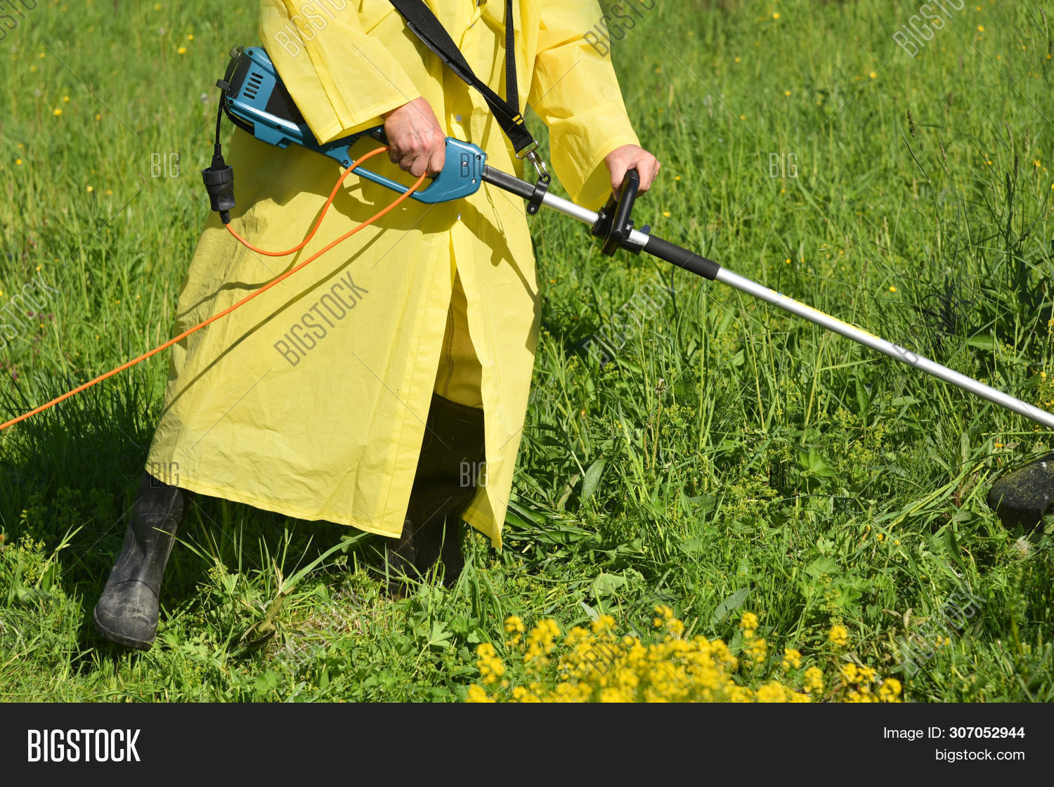 Trimmer Mows Grown Image & Photo (Free Trial) Bigstock