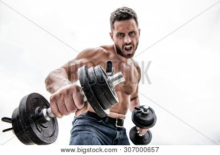 Sport Equipment. Perfect Six Pack. Athletic Body. Dumbbell Gym. Fitness Health Diet. Man Sportsman W
