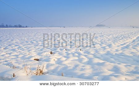Śnieżny