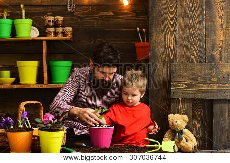 Family Day. Greenhouse. Father And Son. Happy Gardeners With Spring Flowers. Flower Care Watering. S