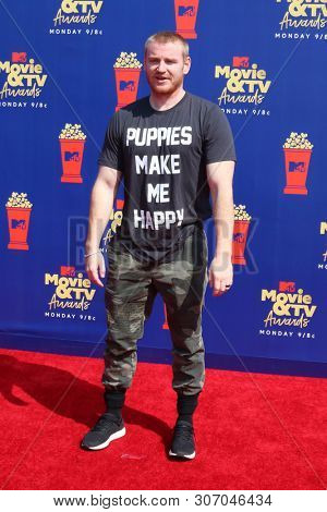 LOS ANGELES - JUN 15:  Wes Bergmann at the 2019 MTV Movie & TV Awards at the Barker Hanger on June 15, 2019 in Santa Monica, CA