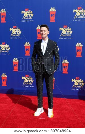 LOS ANGELES - JUN 15:  Noah Schnapp at the 2019 MTV Movie & TV Awards at the Barker Hanger on June 15, 2019 in Santa Monica, CA