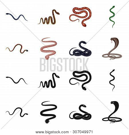 Vector Design Of Mammal And Danger Logo. Collection Of Mammal And Medicine Stock Symbol For Web.