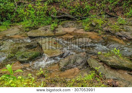 Creek Flowing Fast Through A Forest In Spring, In The North Carolina Mountains