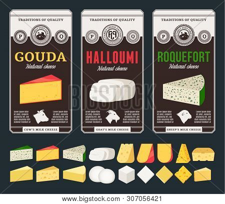 Vector Cheese Labels And Different Types Of Cheese Detailed Icons