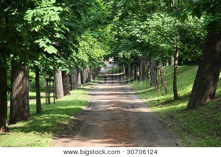 Kalisz Şehir Parkı
