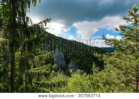 Day Foto Of The Forest Near Little Rozsutec Hill