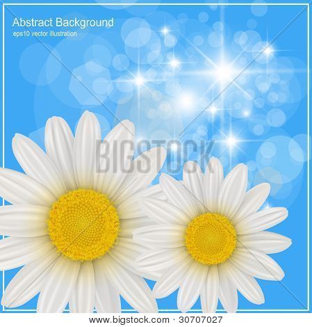 Sommer baggrund med hvide blomster, vektor.