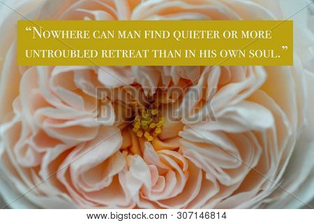 Wise quote by ancient Roman stoic philosopher and emperor Marcus Aurelius against nature background