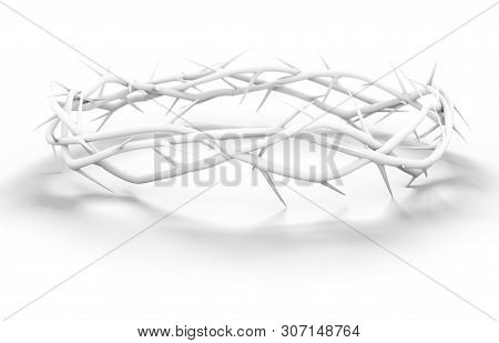 Crown Of Thorns White