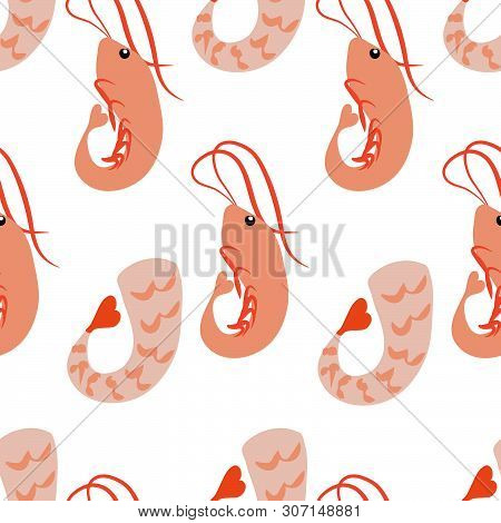Vector Seamless Pattern Of Shrimps On White Background