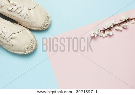Beige Fashionable Women's Espadrilles With Spring Flowering Branch On Color Pastel Blue Pink Backgro