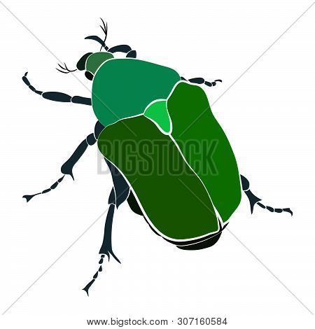 Vector Illustration Of Green Beetle. Cryptocephalus Sericeus