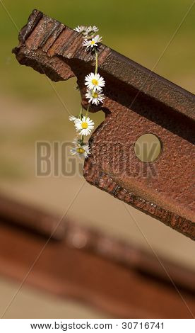 En blomst på sporet