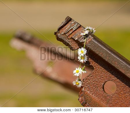 En blomst på sporet