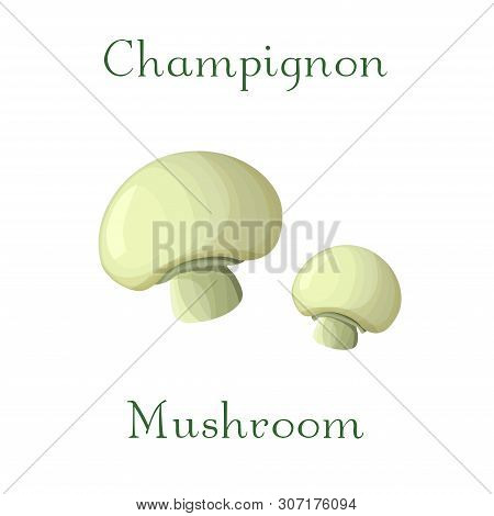 Champingnon Mushroom Illustration. Hand Drawn Cremi Champingnon Isolated On White Background.