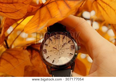 Vintage Scene Of Autumn Concept And Alarm Clock Isolated On Ground