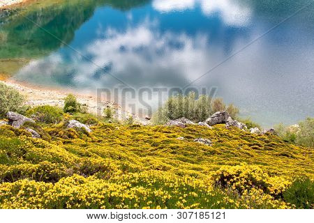 Spring Landscape With Yellow Flowers Near The Saliencia Mountain Lakes. Cueva Lake In The Somiedo Na