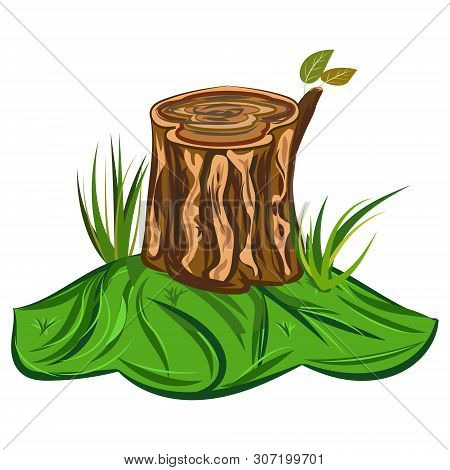 Tree Stump Vector Illustration Of A Cartoon Big Tree Stump With Leaves Bench And Some Blades Of Gras