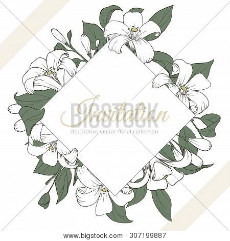 Hand Drawn Orange Jessamine Flowers With Leaves And White Rectangle Frame