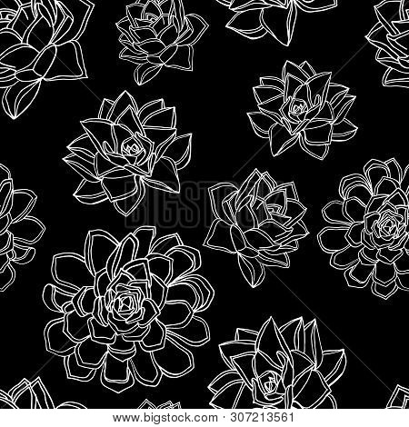 Hand Drawn Doodle Style Seamless Pattern With Common Houseleek, Sempervivum Tectorum Succulents