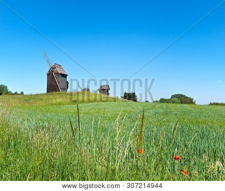 Rural Landscape With Historical Windmills Behind Wheet Field In Spring. Romantic Poland, Panoramic I