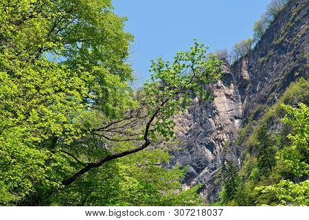 North Korean Scenery. Mountain Forest. Ulim Waterfall Trekking Route