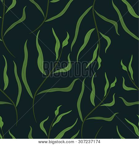Seamless Pattern Of Tropical Branches. Vector Illustration On Dark Background. Background For You.