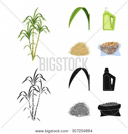 Vector Illustration Of Farm And Agriculture Icon. Set Of Farm And Technology Stock Vector Illustrati