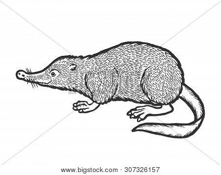 Russian Desman Animal Sketch Engraving Vector Illustration. Isolated Image On White Background. Scra