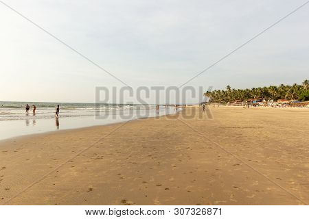 Goa, India - December 20, 2018: View Of The Morjim Beach. Beach Life