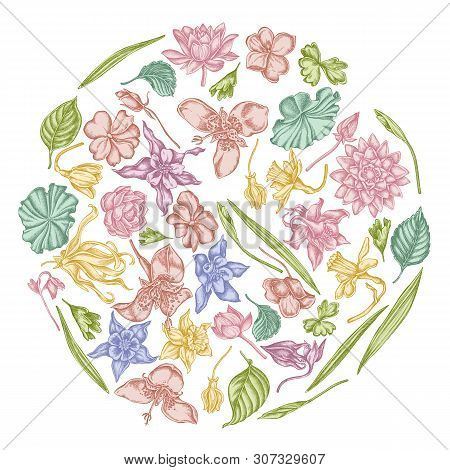 Round Floral Design With Pastel Ylang-ylang, Impatiens, Daffodil, Tigridia, Lotus, Aquilegia