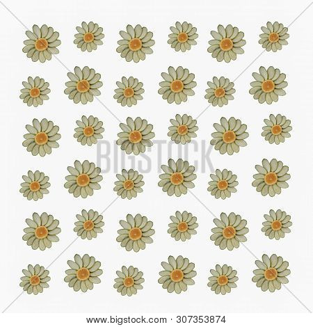 Slices Of Orange And Zucchini In The Shape Of A Flower. Pattern Isolated On White Background. Chamom