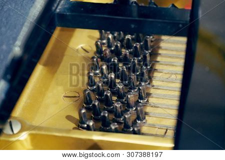 Black Wooden Piano Tuning Pegs, Piano Tuning Pins, Piano Sound Tuning.