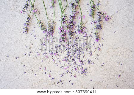 Lavender Flowers And Petals On Concrete Background. Flat Lay, Top View, Close-up. Copy Space.