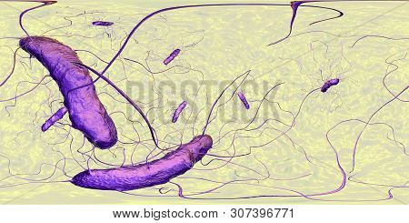 Clostridium Difficile Bacteria, 360 Degree Vr Spherical Panorama View, 3d Illustration. Bacteria Whi