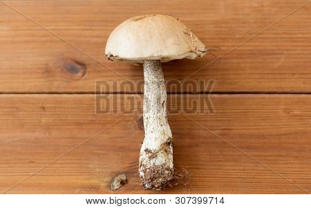 nature, environment and edible mushrooms concept - brown cap boletus on wooden background