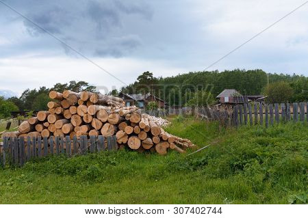 Pile Of Logs In The Village Yard On A Summer Evening In Russia