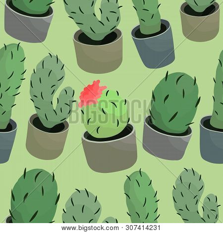 Seamless Pattern. Beautiful Cacti. Vector Background For You.