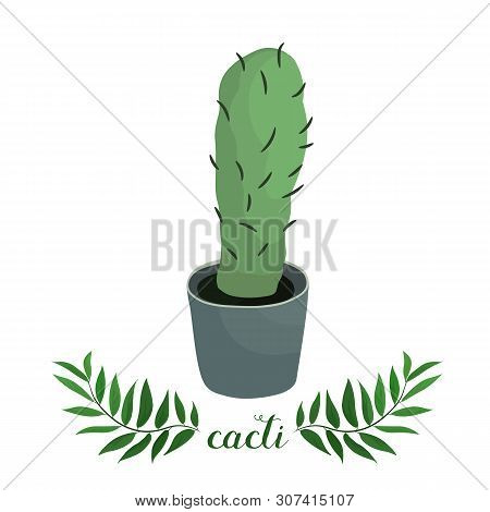 Wonderful Cacti. Vector Illustration. Design For: Postcard, Banner, Textiles. Fashion Print.