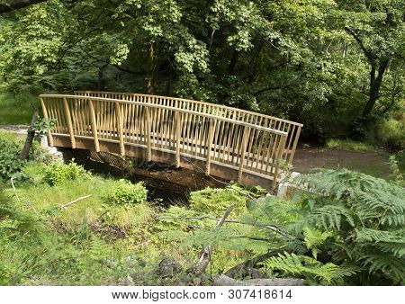 Small Railed Wooden Bridge Over Stream In Woodlands With Tress And Grass To Either Side