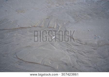 The Floating Groove Of The Habitat Of Horn-eyed Ghost Crab Or Ocypode On The White Sand By The Sea.